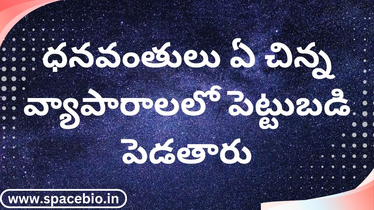 ధనవంతులు ఏ చిన్న వ్యాపారాలలో పెట్టుబడి పెడతారు