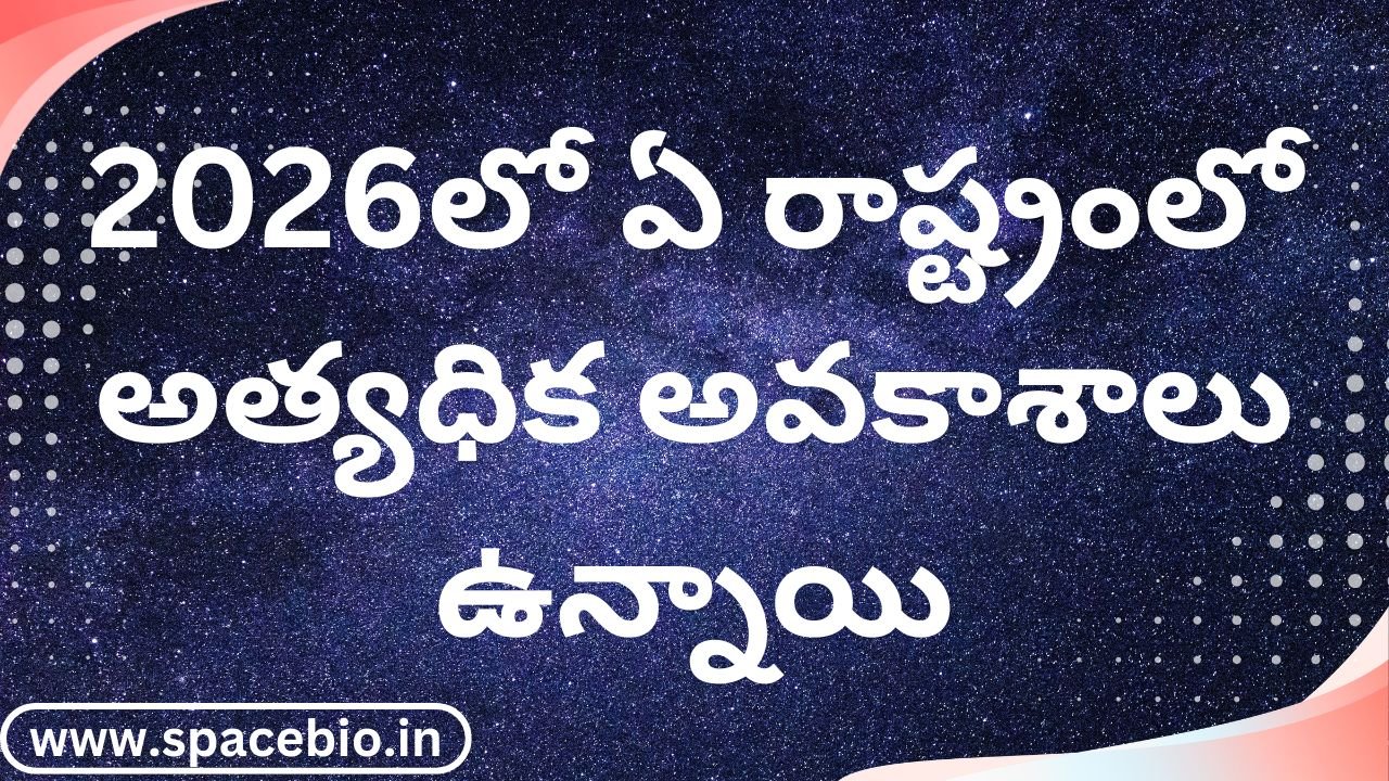Which state offers the most opportunities in 2026